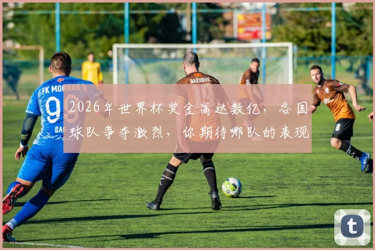 2026年世界杯奖金高达数亿，各国球队争夺激烈，你期待哪队的表现