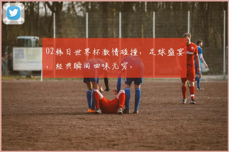 02韩日世界杯激情碰撞，足球盛宴，经典瞬间回味无穷，
