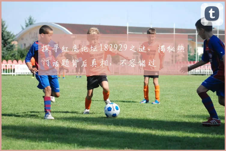 探寻红虎论坛182929之谜，揭秘热门话题背后真相，不容错过